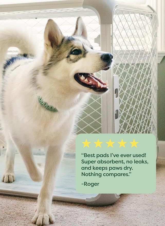 Earth Rated Max Absorbency Puppy Pee Pads for Dogs Absorbs 2X Faster & 2X More, Leak-Proof Odor-Free Potty Training Wee Wee Pad, Unscented, 3XL, 36” x 36”, 24 Count