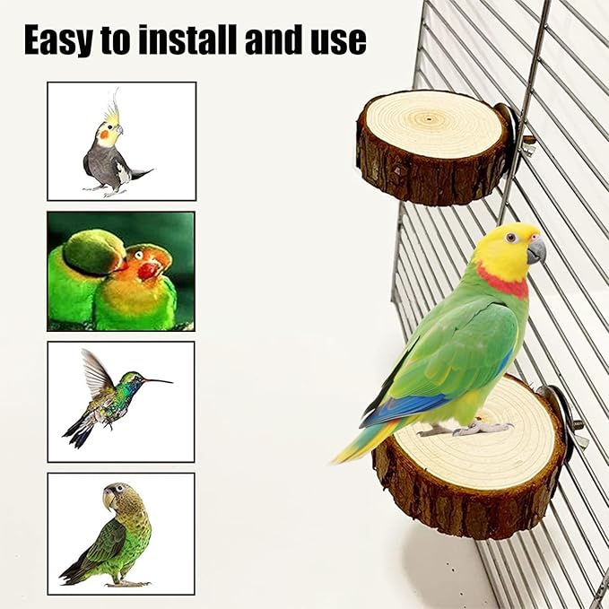 Allazone 10 PCS Natural Parrot Perch Bird Cage Accessories, Bird Platforms, Wood Stands, Grinding Fork Parakeet Platform for Small Lovebirds Budgies Cockatiels