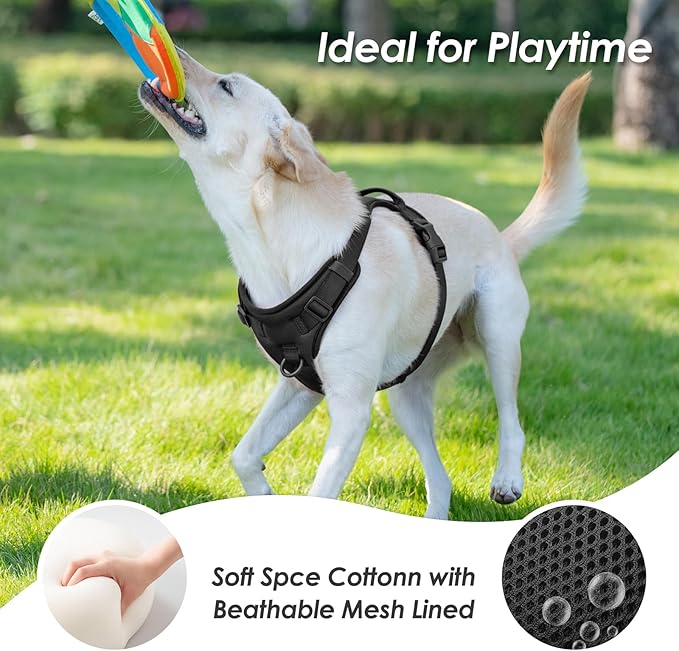 No Pull Dog Harness, Puppy Vest with Front Clip for Small Medium Large Sized Dog(Black,XS)