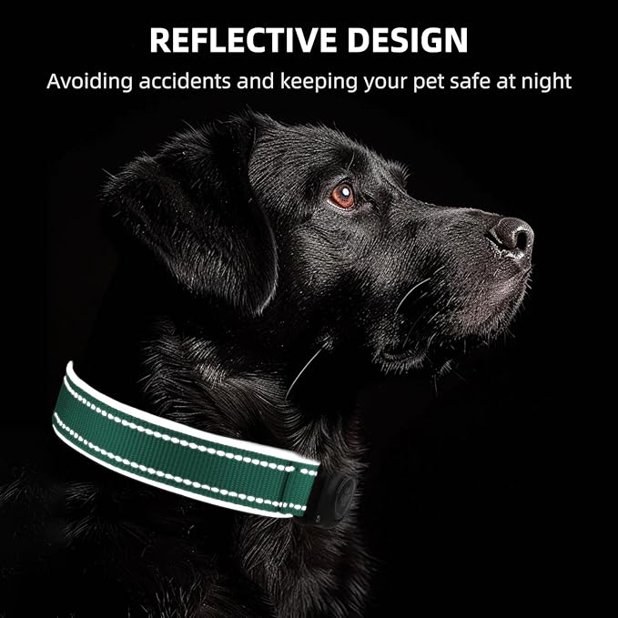 Airtag Dog Collar - 100% Waterproof Air tag Dog Collar Holder for Apple AirTag, Reflective, Soft Padded, Everlasting, GPS Dog Collar for Small Medium Large Dogs (Teal, XL)
