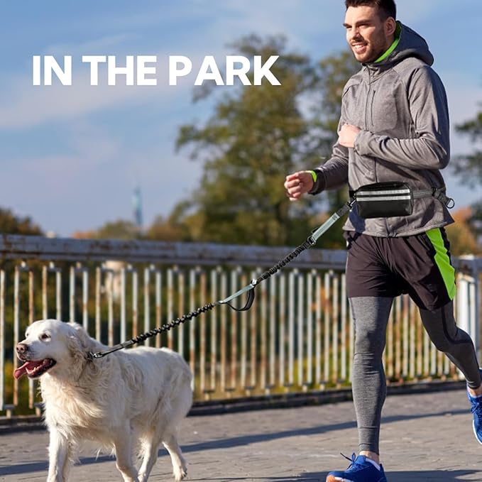 Hands Free Dog Leash with Pouch, Double Leash for Two Dogs, Retractable Dog Leashes with Double Padded Handles, for Running, Walking Accessories