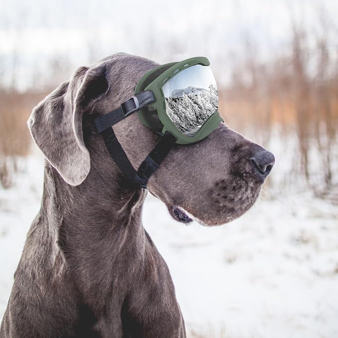 Dog Goggles for Large Dogs, UV Wind Dust Fog Protection, Soft Frame Adjustable Dog Sunglasses, Summer Driving & Winter Snow Eyewear, Tactical Pet Glasses with Elastic Strap (Green)