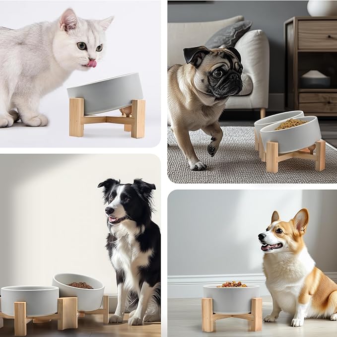 SPUNKYJUNKY 15° Slanted Ceramic Dog and Cat Bowl with Wooden Stand, Tilted Bulldog Food and Water Bowl No Slip Non-Spill for Cats Medium Dogs Big Face Pets 13.5 OZ (1.7 Cups, Grey × 2)