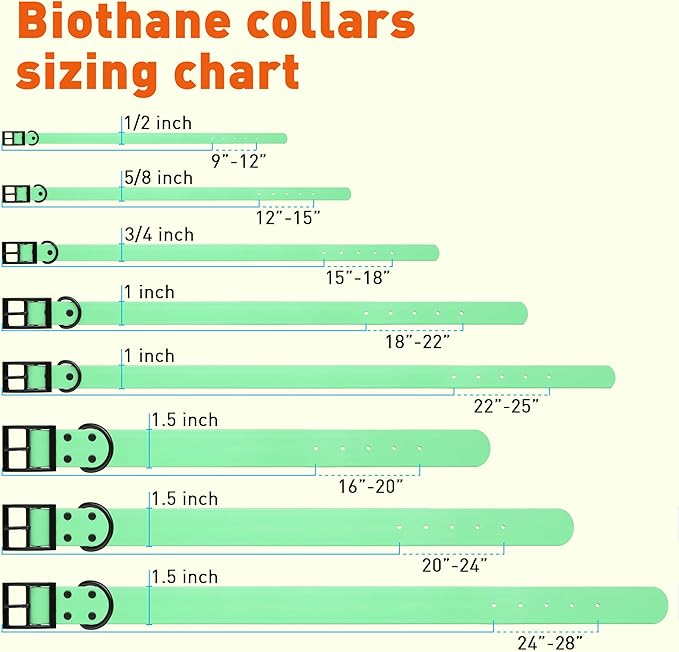 Dogline Biothane Waterproof Dog Collar Strong Coated Nylon Webbing with Black Hardware Odor- Proof for Easy Care Easy to Clean High Performance Fits Small Medium or Large Dogs, Sea Foam Green