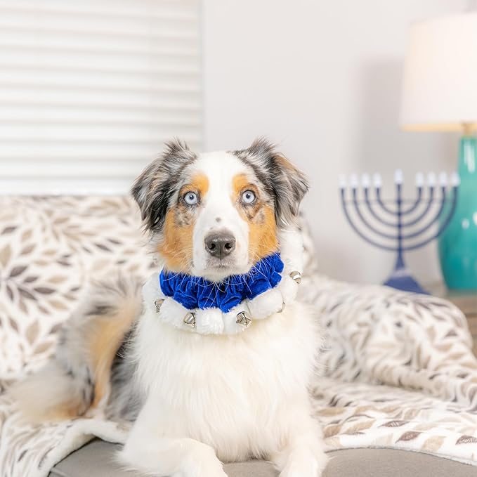 Huxley & Kent Ruff Pet Scrunchy | Hanukkah (Medium) | Festive Christmas/Holiday Neckwear for Dogs/Cats | Fun Stretchable Costume Accessory | Soft Collar with Bells