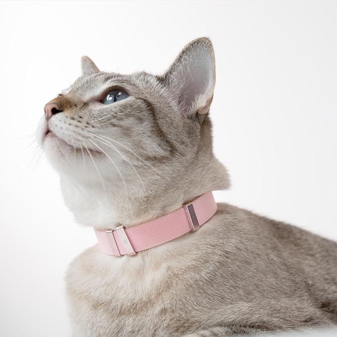Safety Cat Collar - U.S. IDA Gold Awarding Design, Stretch Elastic Quick Release, Non Breakaway - Light Weight for Kitten, Neck Fit 7.8'-15.7' for All Small Large Cat,M(Alpine Green)