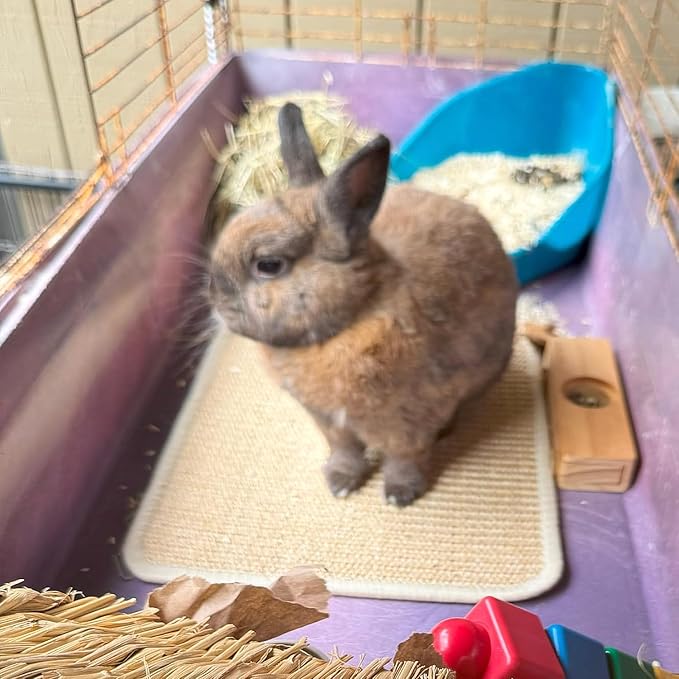 PODOO Bunny Scratch Pads, Sisal Rabbit Scratching Pad, Natural Rabbit Resting Mats for Cages, Forage Grass Mat Indoor Essentials Accessories for Guinea Pig Cat (4Pcs, 15.7x11.8 inches)