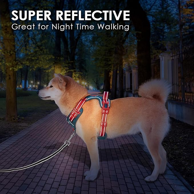 PHOEPET No Pull Dog Harness, Unique Colors Reflective Adjustable Dog Vest, with Soft Training Handle Metal Clips for Small Medium Large Dogs (Teal Base & Red Straps,S)