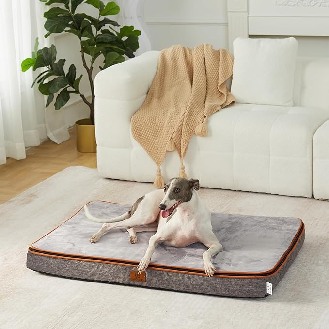 Memory Foam Large Dog Bed - 4” Thick Orthopedic Beds for Large Dogs - Waterproof Dog Bed with Removable Washable Cover & Wrap-Around Zipper - Ultimate Comfort and Easy Maintenance