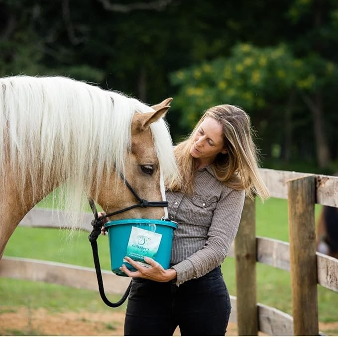 Gallagher's Water 120 Pack All-Natural Patented Equine Hydration Treat - Enhancement Powder Mix Horse Drink Treat to Help Encourage to Drink Water - Made with All Natural Ingredients, FEI Compliant