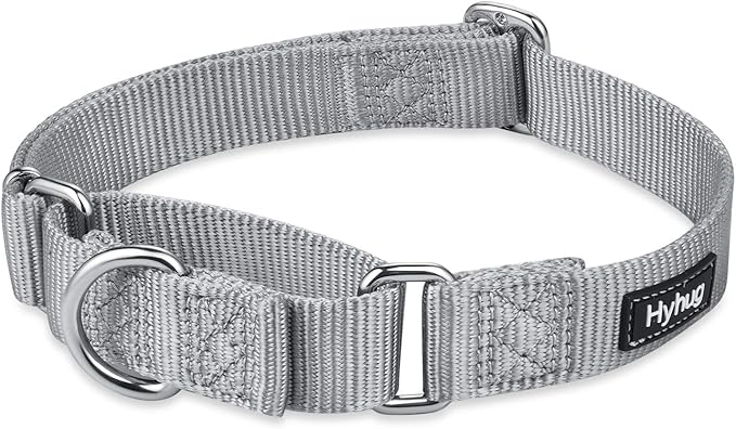 Hyhug Pets Premium Upgraded Heavy Duty Nylon Anti-Escape Medium Martingale Collar for Boy and Girl Dogs Comfy and Safe - Professional Training, Daily Use Walking. (Medium, Sleet Gray)
