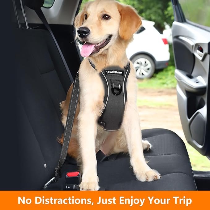 Dog Seat Belt Harness for Car, Dog Car Harness Adjustable Mesh Breathable & Dogs Seatbelt Safety Tether with Elastic Bungee for Small Medium Large Pets(Carbon Black, XL)