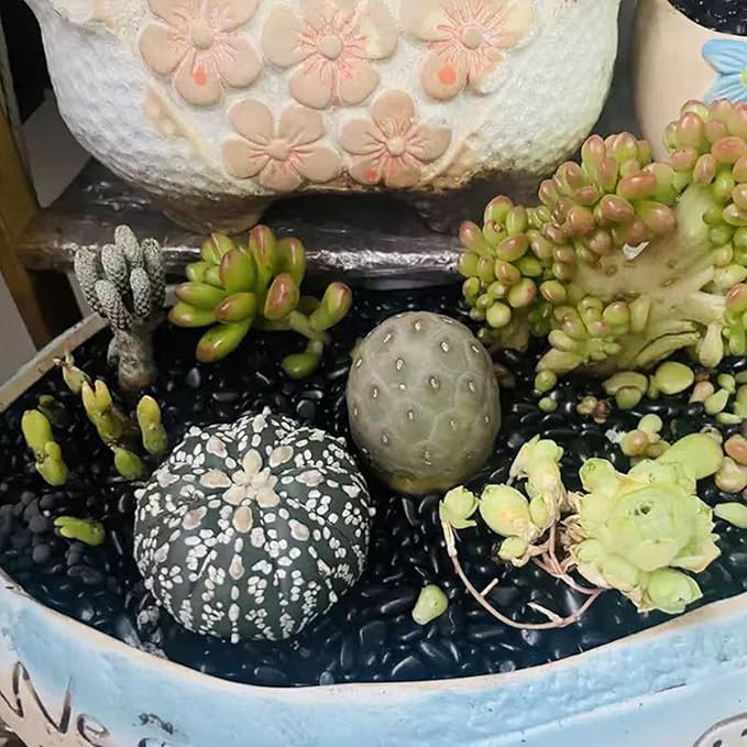 Black Pebbles - 3/8 inch Small Stones for Indoor Plants, Succulents, Aquariums & Landscaping