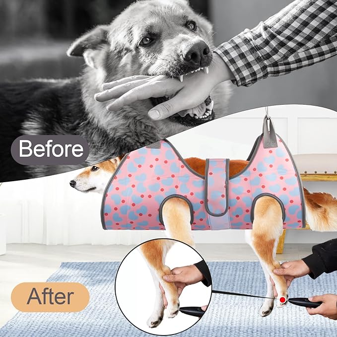 Dog Grooming Hammock for Small Dogs & Cats, Dog Grooming Harness for Nail Trimming, Pet Grooming Sling Helper with Nail Clippers/Nail Trimmers
