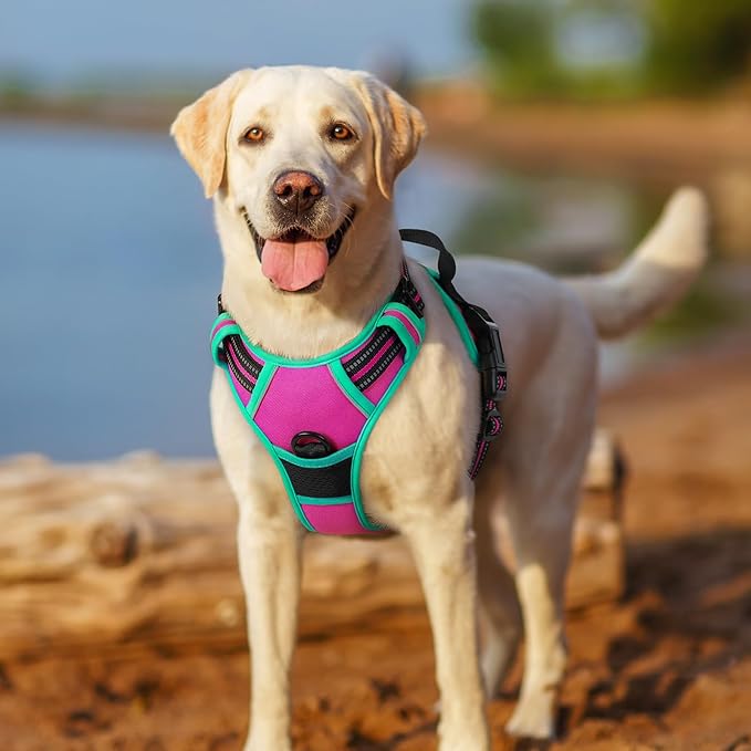 rabbitgoo Dog Harness No Pull with 2 Leash Clips, Adjustable Soft Padded, Reflective Oxford No Choke Pet Vest with Easy Control Handle for Large Dogs, Hot Pink & Turquoise, M