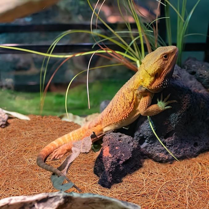 ZeeDix 3 Rolls Coconut Fiber Reptile Substrate Mat, 24 x 48 inches Natural Coco Mat Reptile Carpet Coco Fiber Liner Turtle Bedding Reptile Terrarium Liner for Lizard Snake Turtle Gecko Bearded Dragon