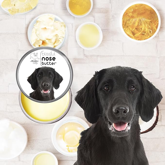 The Blissful Dog Flat-Coat Retriever Unscented Nose Butter - Dog Nose Butter, 8 Ounce