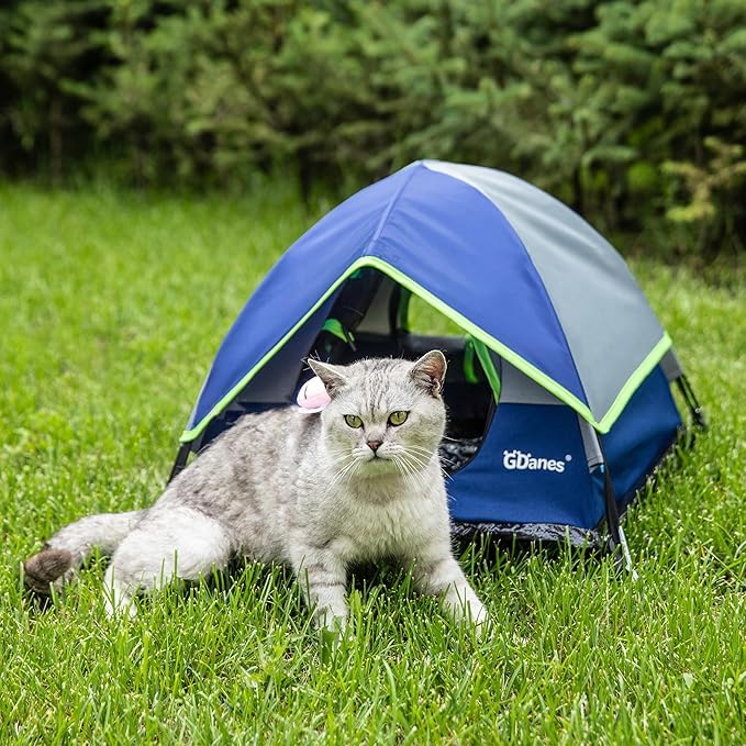 GDanes Blue Cat Tent, Large Cave Bed for Indoor Cats and Small Dogs with Soft Pad - 22" x 22" x 16"