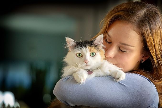 Spry, Cat Eye Care Support, L-Lysine Cat Treat Supplement, Cat Immune Support Supplement, Cat Health Daily Treat, Prebiotic Cat Health Support, Cat Antioxidant Respiratory Health for Cats