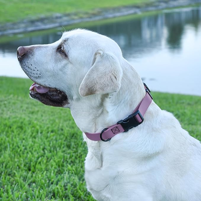 Dogline Biothane Waterproof Dog Collar with Quick Release Buckle Strong Coated Nylon Webbing with Odor- Proof for Easy Care Easy to Clean Fits Small Medium Large Dogs, Amethyst Purple 3/4" W 12-19" L