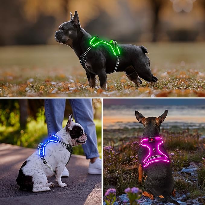 LED Dog Harness, No Pull, Light Up, Rechargeable, Blue, Large
