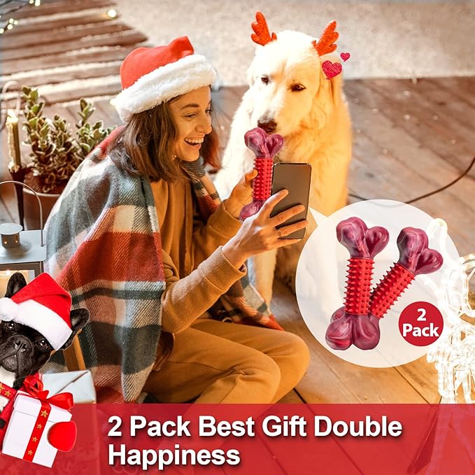Apasiri Tough Dog Toys for Aggressive Chewers Large Breed, 2-Pack Dogs Chew Toys for Large Medium Dogs, Nylon and Rubber Dog-Bones for Teething Chew, Beef Flavor, for Doggo 20-75 lbs