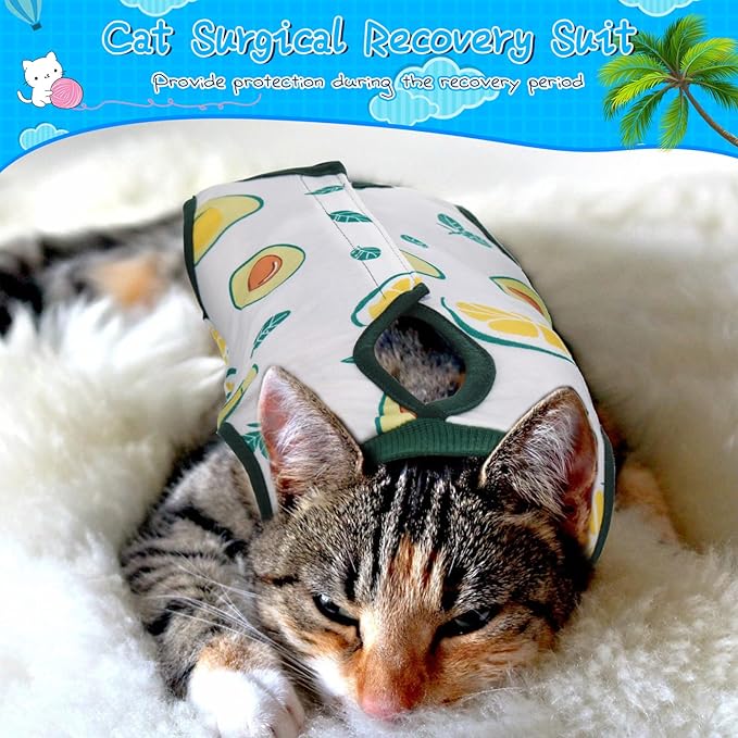 Nuanchu 3 Pieces Cat Recovery Suit Kitten Recovery Suit E-Collar Alternative for Cats and Dogs Abdominal Skin Anti Licking Pajama Clothes Sets(Watermelon Pattern,Small)