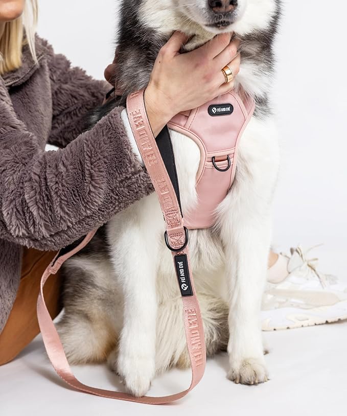 2025 New Edition, Fei & Eve MagEase Dog Harness - 3-Second Magnetic Buckles | 3-Point No-Pull Control | Heavy-Duty 900D Nylon | Dual Safety Handles | Breathable Mesh | Adjustable Fit | Small, Pink