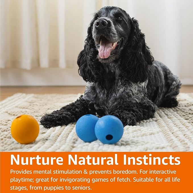 Amazon Basics Dog Toys, Interactive Supreme Rubber Balls, (Pack of 3), 2.5 inch, Blue, Orange