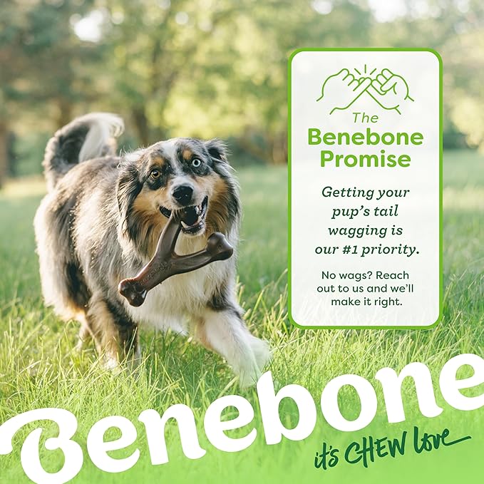 Benebone Peanut Butter Flavored Wishbone Chew Toy