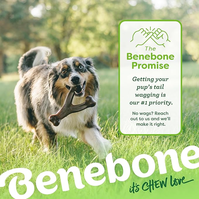 Benebone Medium 3-Pack, Wishbone Durable Dog Chew Toy for Aggressive Chewers, Real Bacon, Chicken, Peanut Butter, Made in USA, Variety Pack