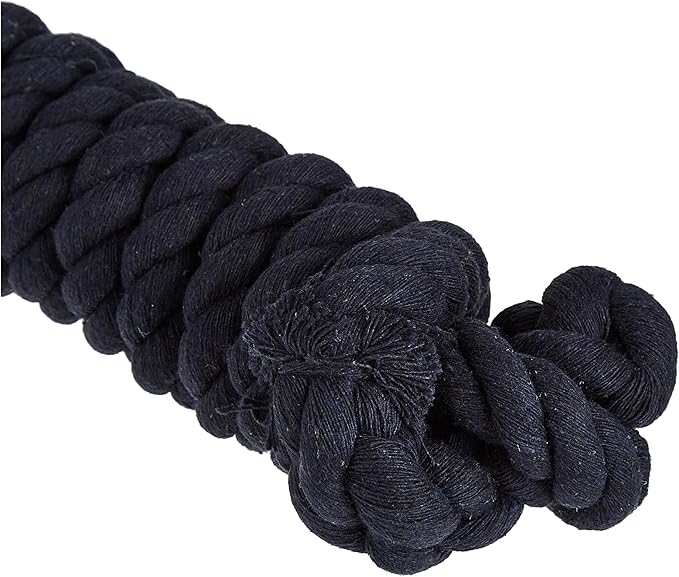 Weaver Equine Performance Lead Rope, Long Horse Lead Rope with Quick Halter Attachment, Soft Comfort Grip, Barn Horse Tack for Daily Use & Showing