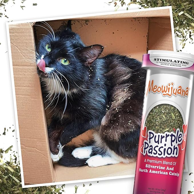 Meowijuana Purrple Passion Cat Nip - Premium Organic Blend of Catnip for Cats & Silvervine, Stimulates Playful Behavior, 26g, Natural Wellness Gift for Cat Lovers