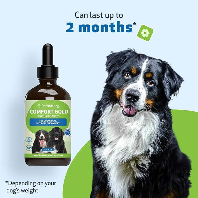 Pet Wellbeing Comfort Gold for Dogs - Supports Canine Physical Comfort, Healthy Circulation, Corydalis, Turmeric - Veterinarian-Formulated Herbal Supplement 4 oz (118 ml)