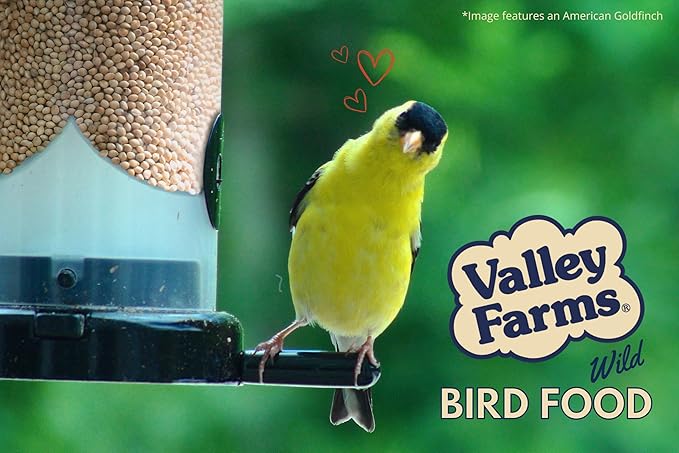 Valley Farms White Millet Wild Bird Seed 5 LB 2-Pack (10 LB Total) for Outside feeders, White proso Millet, Bird Watcher Secret Wild Bird Food