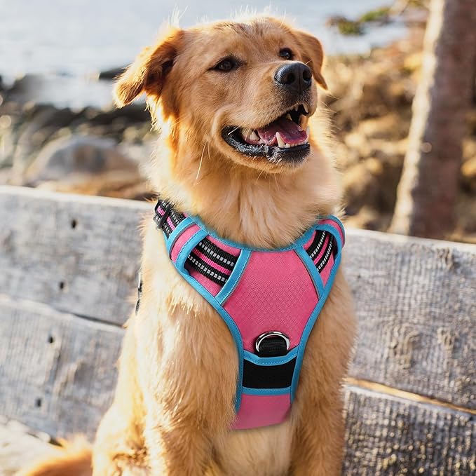 rabbitgoo Dog Harness for Large Dogs, No Pull Pet Vest with 3 Buckles, Adjustable Soft Padded Pet Harness with Easy Control Handle and Reflective Strips, Rose Pink & Blue, XL