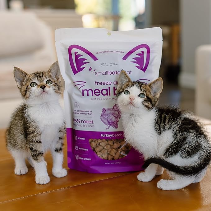 smallbatch Pets Freeze Dried Cat Treats, Raw Dry Cat Food Bites, Turkey Recipe, High Protein Food Topper or Training Treats for Cats, Humanely Sourced Meat, Made in The USA, Non GMO, 10 oz Bag