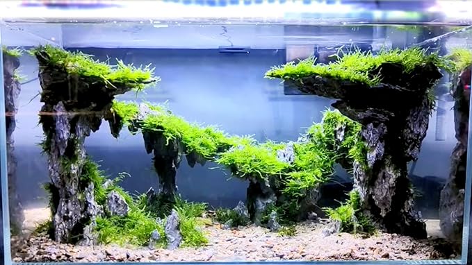 Fish Tank Decor Rocks.Aquarium Decoration Model.Easy and Quick Solution for Aquascaping.(Twilight)