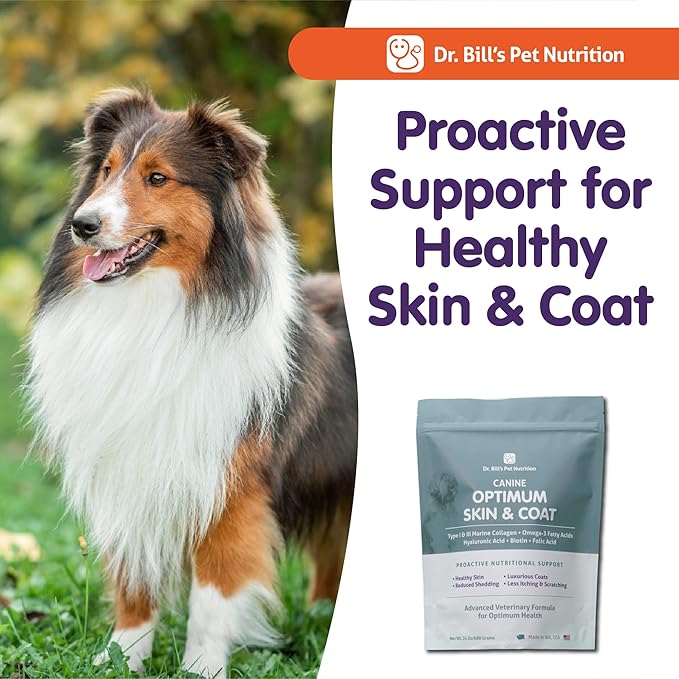 Dr. Bill's Canine Optimum Skin & Coat – Reduces Shedding, Itching, Dry Skin – Allergy Relief for Healthy Fur - Omega 3, Collagen, Biotin & Hyaluronic Acid – 340g Vet-Recommended Dog Supplement