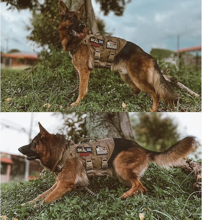 OneTigris No Pull Dog Harness for Small Dog, Mesh Design Breathable Military Dog Molle Vests with Handles, Service Dog Vest Harness for Walking Hiking Training
