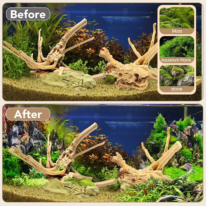 Natural Large Spiderwood Driftwood for Aquarium Decor Rptile Fish Tank Decoration Assort Branch 11-14'' 2 Pcs