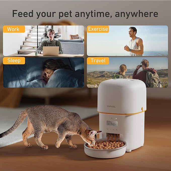 Automatic Cat Feeders - 3L Cat Food Dispenser Easy to Use, Timed Automatic Pet Feeder with Over 180-day Battery Life, 1-6 Meals Dry Food Programmable Portion Control Also for Dogs