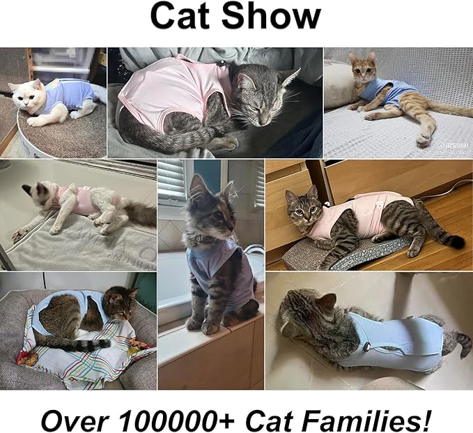 Cat Recovery Suit, Surgical Recovery Clothes for Abdominal Wound or Skin Disease, Cats Onesie After Surgery and Spay, E-Collar Alternative Pajama Suit (Blue, Small)