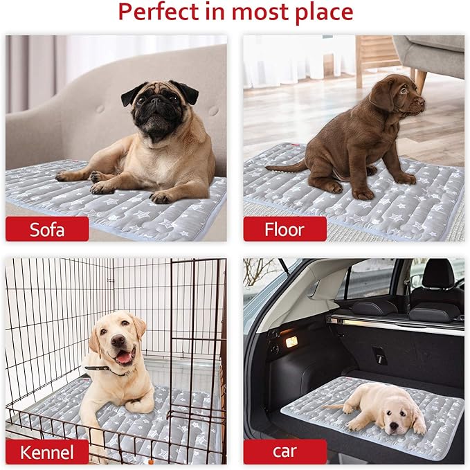 Dog Crate Mat (21" X 14"), Soft Dog Bed Mat with Cute Prints, Personalized Crate Pad, Anti-Slip Bottom, Machine Washable Kennel Pad