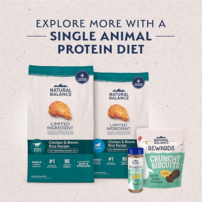 Natural Balance Limited Ingredient Adult Dry Dog Food with Healthy Grains, Chicken & Brown Rice Recipe, 4 Pound (Pack of 1)