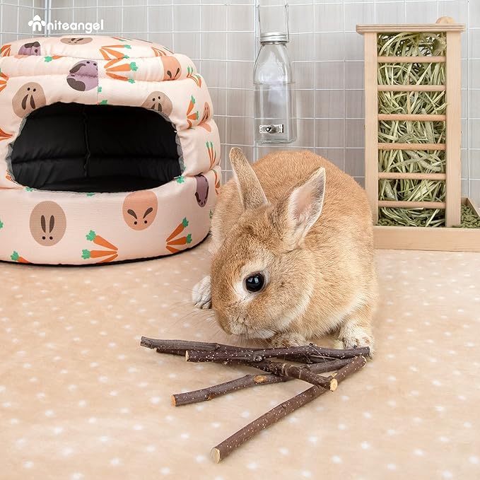 Niteangel Apple Sticks Natural Chew Toys for Rabbits, Chinchilla, Guinea Pigs, Hamsters and Other Small Animals (Apple Twig)