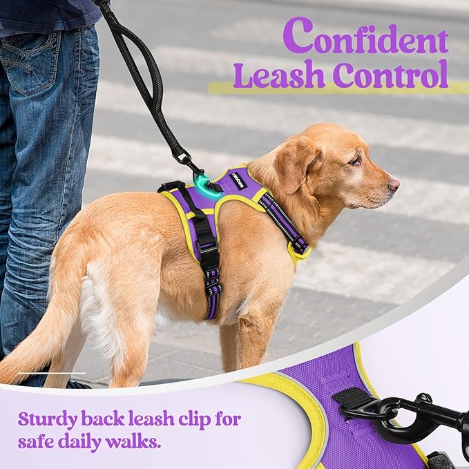 rabbitgoo Dog Harness No Pull with 2 Leash Clips, Adjustable Soft Padded, Reflective Oxford No Choke Pet Vest with Easy Control Handle for Large Dogs, Purple & Yellow, L