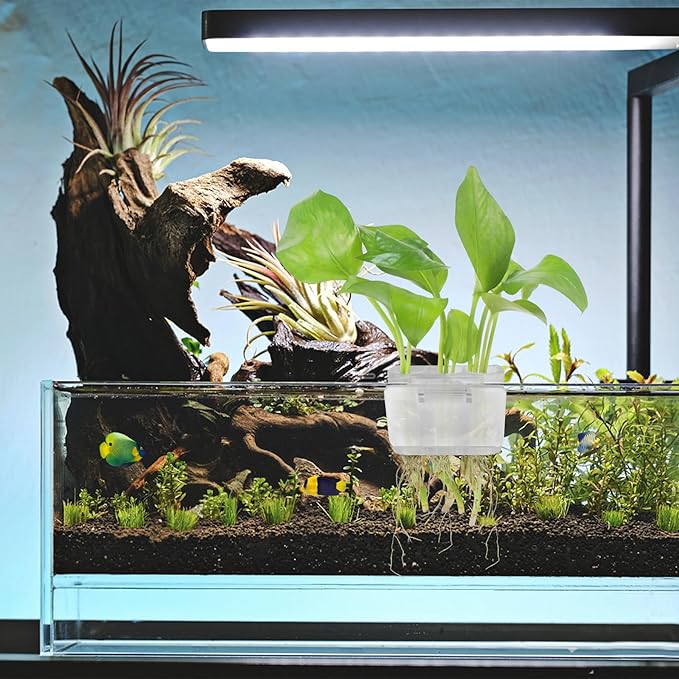 3 Holes Upgraded Aquatic Plant Cup Aquarium Plant Holder for Tank,Hanging Aquarium Plant Holder,Aquarium Aquatic Plant Cultivation,Aquarium Plant Decoration. (White 4PCS)