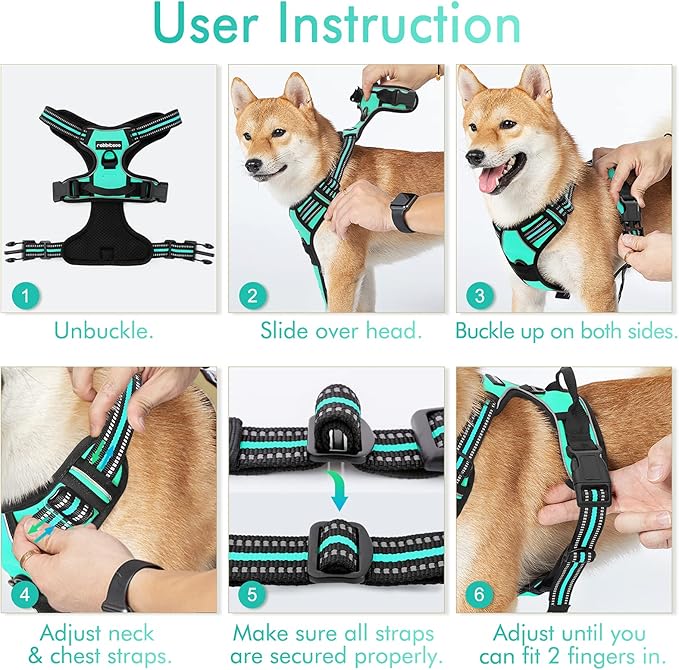 rabbitgoo Dog Harness No Pull with 2 Leash Clips, Adjustable Soft Padded, Reflective Oxford No Choke Pet Vest with Easy Control Handle for Medium Sized Dogs, Turquoise, M