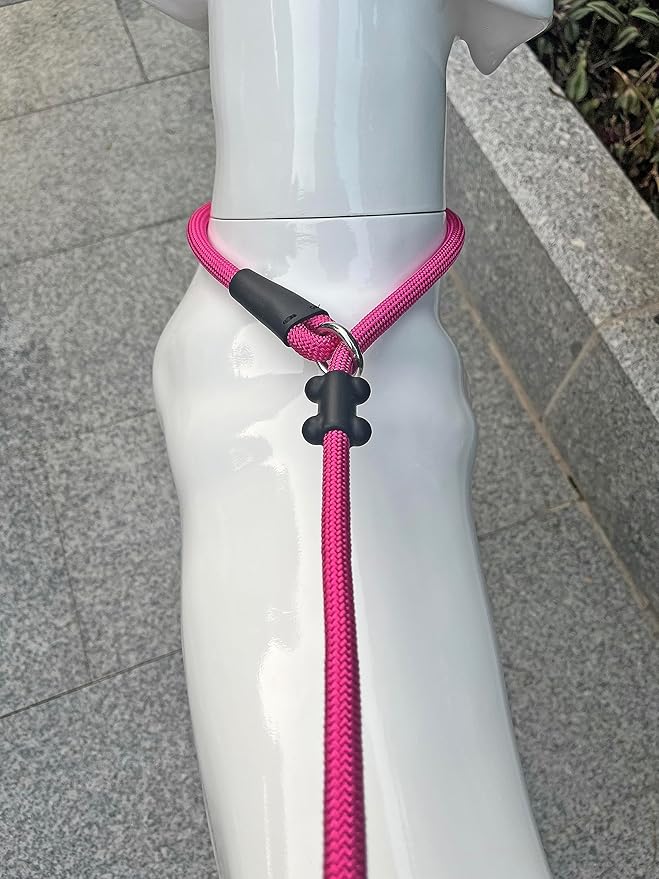 Slip Lead Dog Leash,Strong Nylon Rope Leash and Padded Handle,No Pull Outdoor Walking Training Lead for Small Medium Large Dogs(Fuchsia,1/2"×4ft)